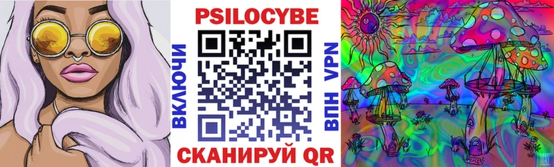 купить наркотик  Мглин  Псилоцибиновые грибы Cubensis 